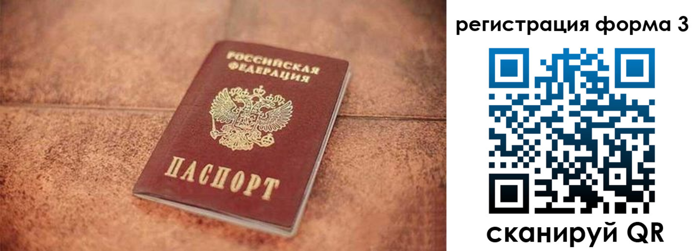 купить прописку в Курской области